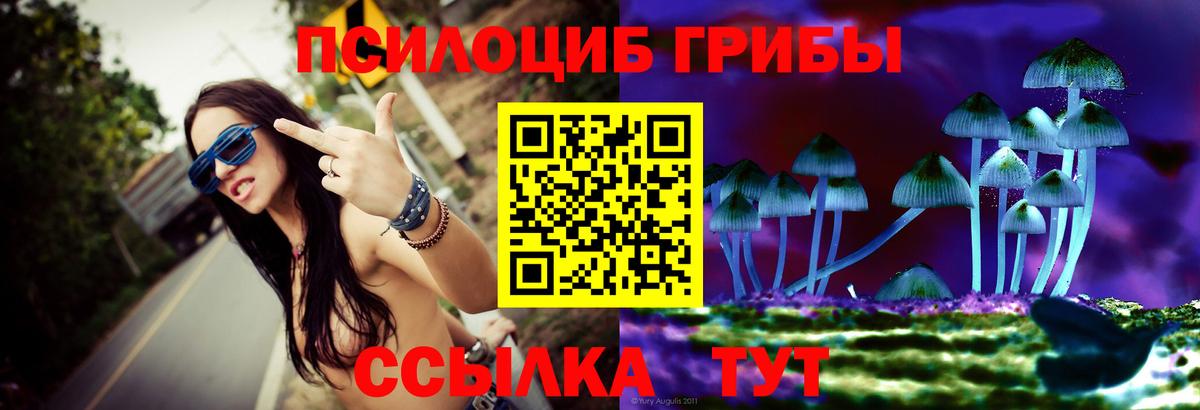 Галлюциногенные грибы GOLDEN TEACHER Советск